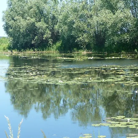 Apartment Krolewiecki - Goscinne Sztutowo