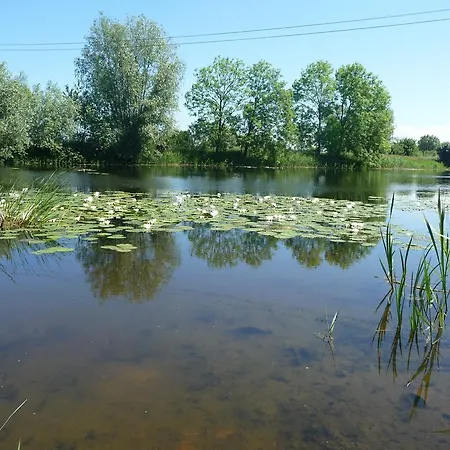 Krolewiecki - Goscinne Apartment