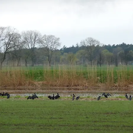 アパート Krolewiecki - Goscinne *