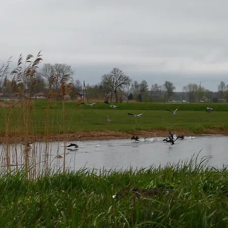 Krolewiecki - Goscinne Apartment