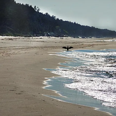 Krolewiecki - Goscinne アパート