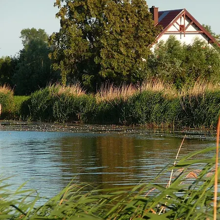 Krolewiecki - Goscinne *