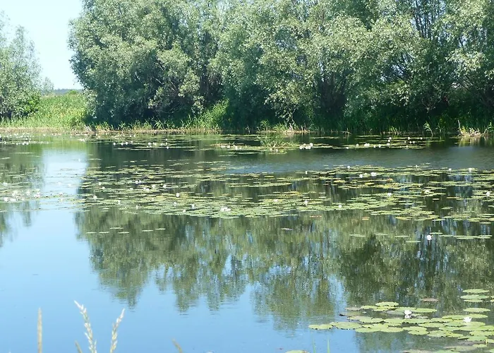 Lägenhet Krolewiecki - Goscinne Sztutowo