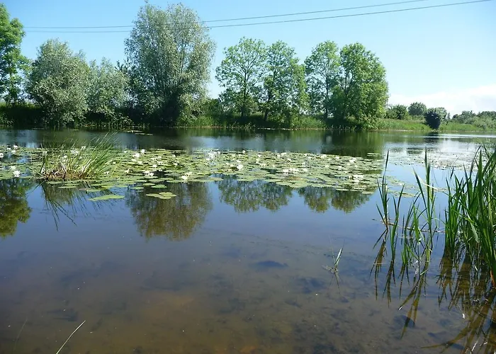 Krolewiecki - Goscinne Lägenhet