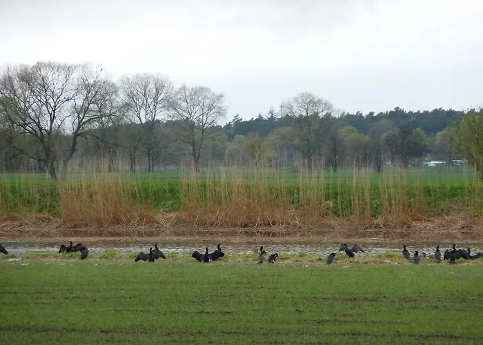 Lägenhet Krolewiecki - Goscinne *