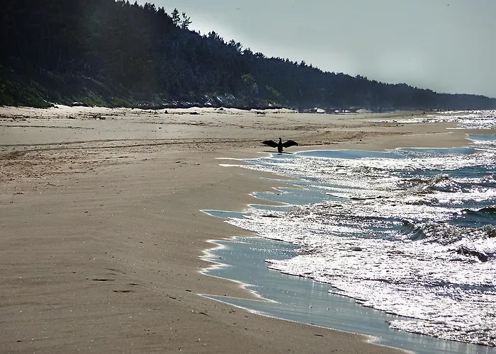 Krolewiecki - Goscinne Lägenhet