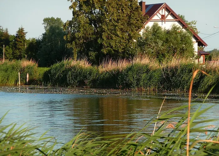 Krolewiecki - Goscinne *